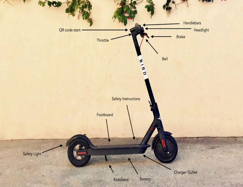 Bird Scooter with arrows pointing to parts and safety features, including throttle, handlebars, brake, bell, headlight, footboard, safety instructions, charger outlet, battery, kickstand, and rear safety light.